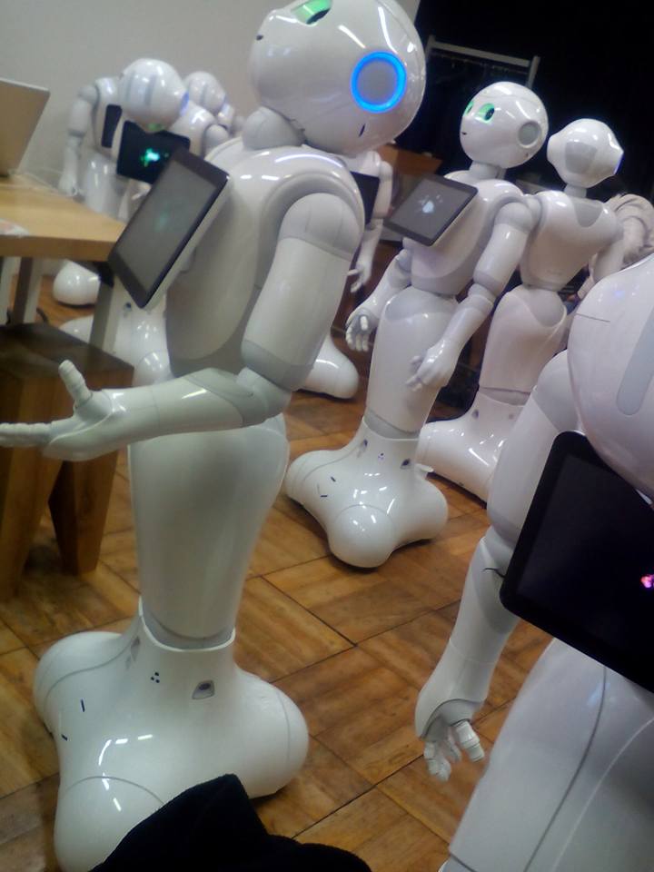 12928333_694316287377133_7753062709264378709_n